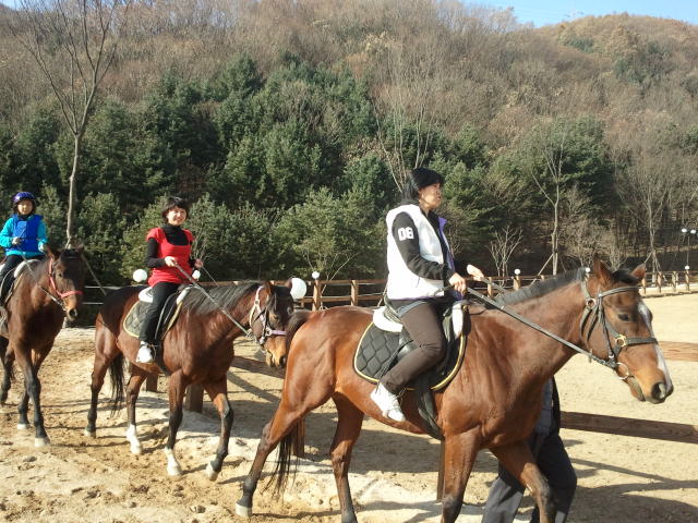 영인 레전드 승마클럽 승마 체험 중