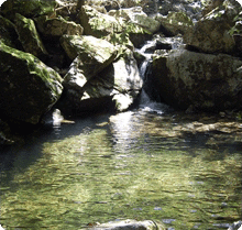 第5景 赤木龙沼