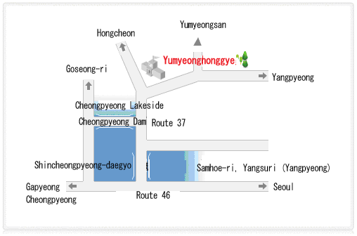 Traffic Information 